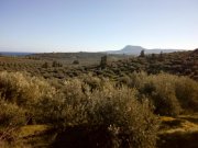 Kalyves Land mit großartigem Meerblick in Apokoronas zum Verkauf Grundstück kaufen